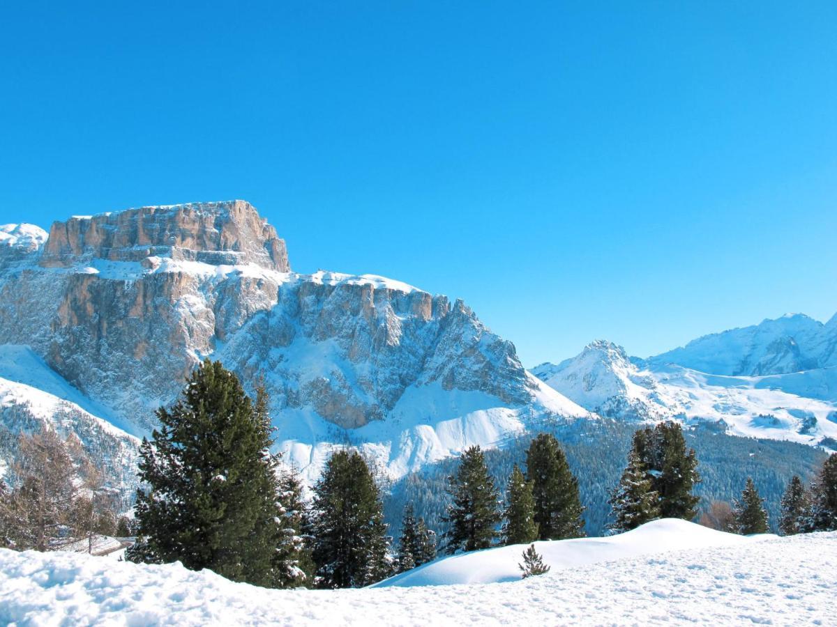 Locazione Turistica Villa Bellavista Campitello di Fassa Esterno foto